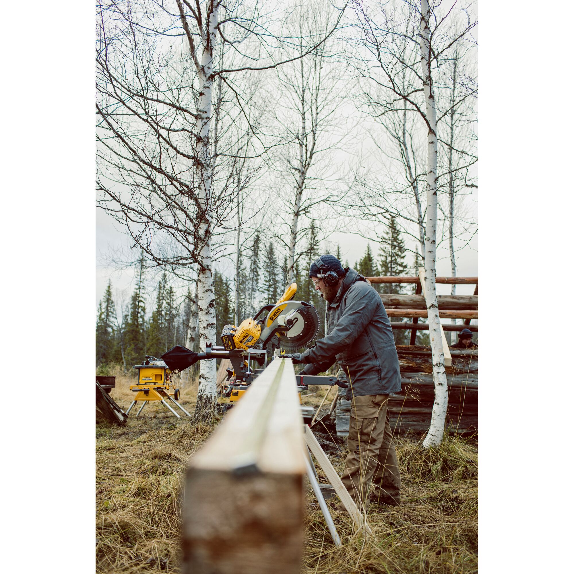 A person using a yellow DEWALT miter saw (SKU: DHS780T2) outdoors in a forested area with birch trees. The saw is set up on a stand, and the person is cutting a long wooden plank while wearing ear protection and outdoor clothing.